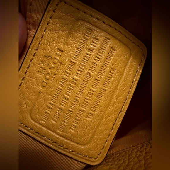 Upcrafted Coach black cat Pheobe Orange - Picture 4 of 15